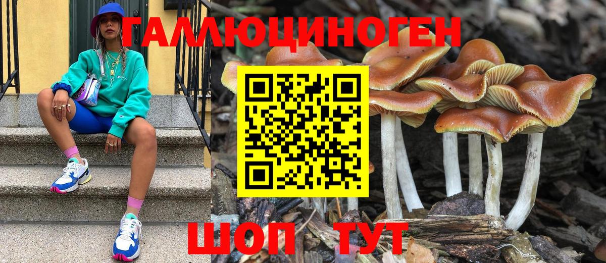 Нижневартовск  Псилоцибиновые грибы GOLDEN TEACHER  Вход с VPN 